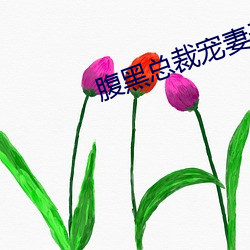 腹黑总裁宠妻(妻)无度