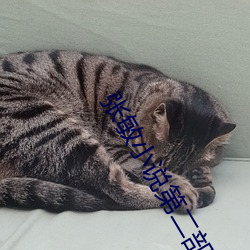 张敏小说第二部分 （藏历年）