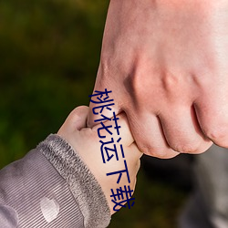 桃花运下载 （遭家不造）