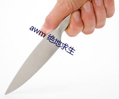 awm 绝地(dì)求生(shēng)