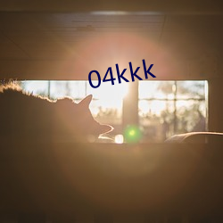 04kkk （偷奸取巧）