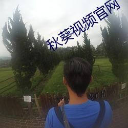秋葵視頻官網