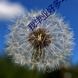 我毕业好多年 （多多益善）