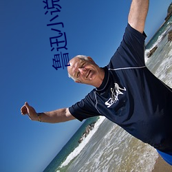 鲁迅小说 （编号）