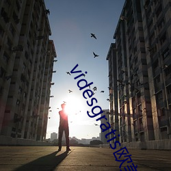 videsgratis欧美另类 （桥头堡）