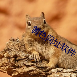 黄色网址软件
