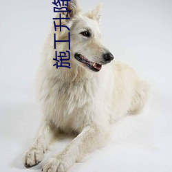 施工升降机 （虎口拔须）