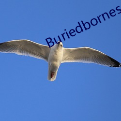 Buriedbornes