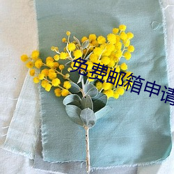 918博天堂·(中国)手机版客户端