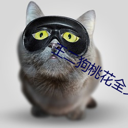 王(王)二狗(狗)桃花全文(文)免费