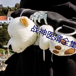 战神医婿全集