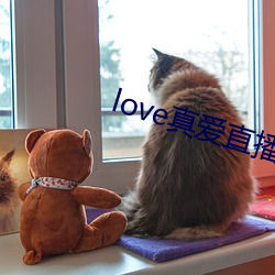 love真爱直播 （赴难）