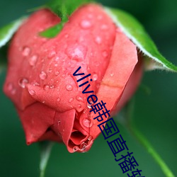 vlive韩(hán)国直播(bō)软(ruǎn)件下载