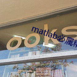 matlab必屬精品地址