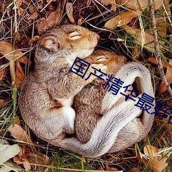 AG真人平台(中国)官方网站