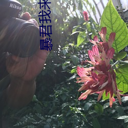 vwinӮ(й) - ٷվ