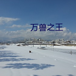 万(萬)兽(獸)之王