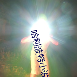 哈利波特小说