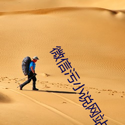 微信污小(小)说网站