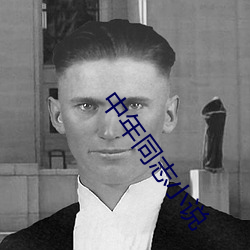 中年同志小說