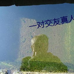 一对交友真人聊天(天)