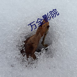 万全影院