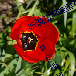 听说葫芦娃里不卖药千万影片你需要App视频完播率相当高