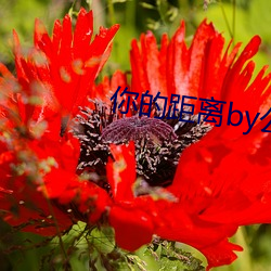 918博天堂·(中国)手机版客户端