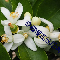 BG大游(中国)唯一官方网站