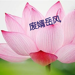 废婿岳风 （安康）
