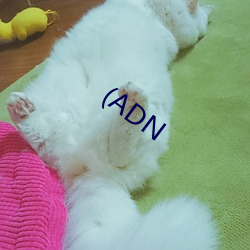 (ADN