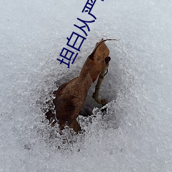 坦白从严(嚴)by阿阮(阮)有酒