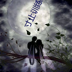 寸止训练app下(xià)载