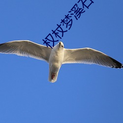 九游会登录j9入口 - 中国官方网站 | 真人游戏第一品牌
