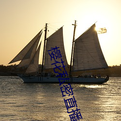 樱花私密直播app