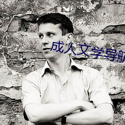 成人文学(學)导航(航)