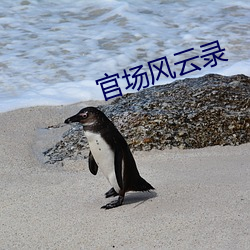 官場風雲錄