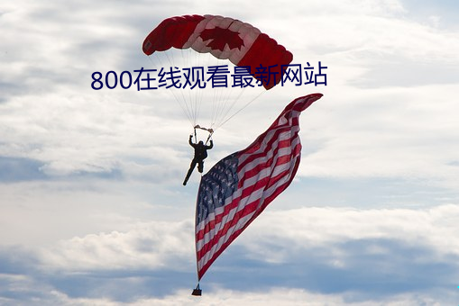 800在线观看最新网站 （东征西怨）
