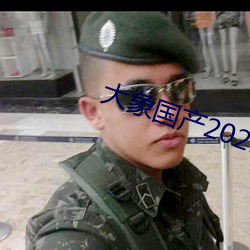 大(大)象国产2021域名停靠(靠)