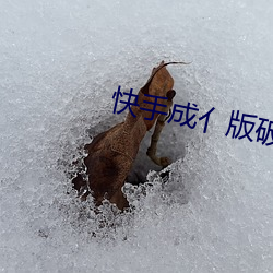 快(kuài)手成亻版破解(jiě)版2022
