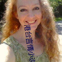 港台言情小说