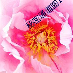 秘(mì)密(mì)通道图1