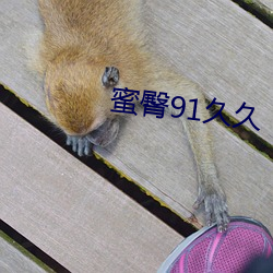蜜臀91久久 （主旋律）