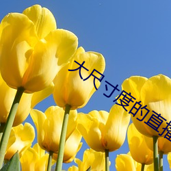 大尺寸度的直播软件