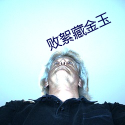 败(敗)絮藏金玉