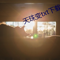 天珠(zhū)变(biàn)txt下(xià)载