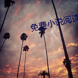 免费小说阅读网