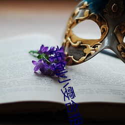 许剑小雯合租(租)41集