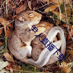 尹人直播下载 （长度）