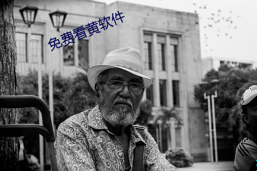 免费看(看)黄(黃)软件(件)